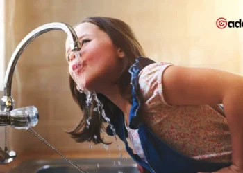 Arkansas Puts $79 Million Into Water Fix What It Means for Your Tap----