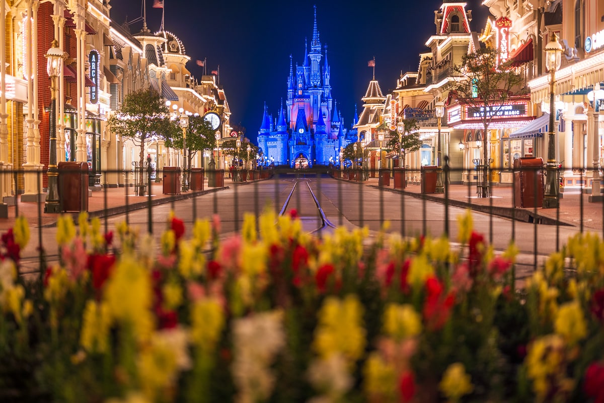 Big News for Disney Fans Walt Disney World Drops Ticket Prices by 25% for Summer Fun at Disney Springs