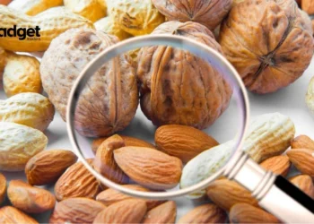 Breaking News Nationwide Walnut Recall Due to E. Coli Risk - What You Need to Know--