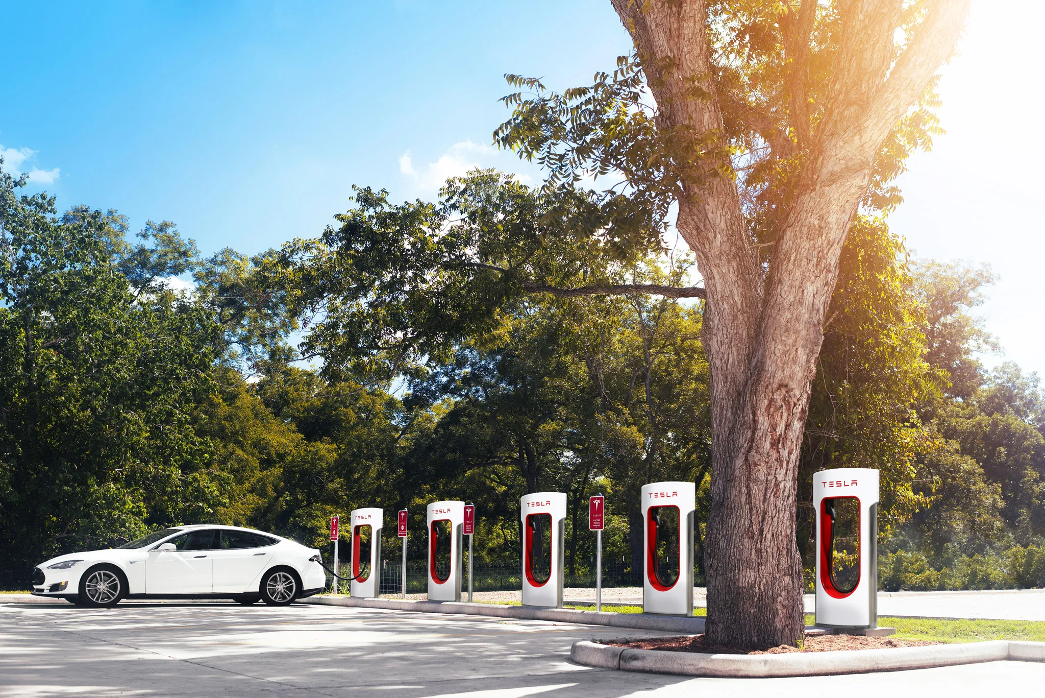 Elon Musk and Tesla Face New Challenges: Why Their California Factory Might Close Over Pollution Concerns