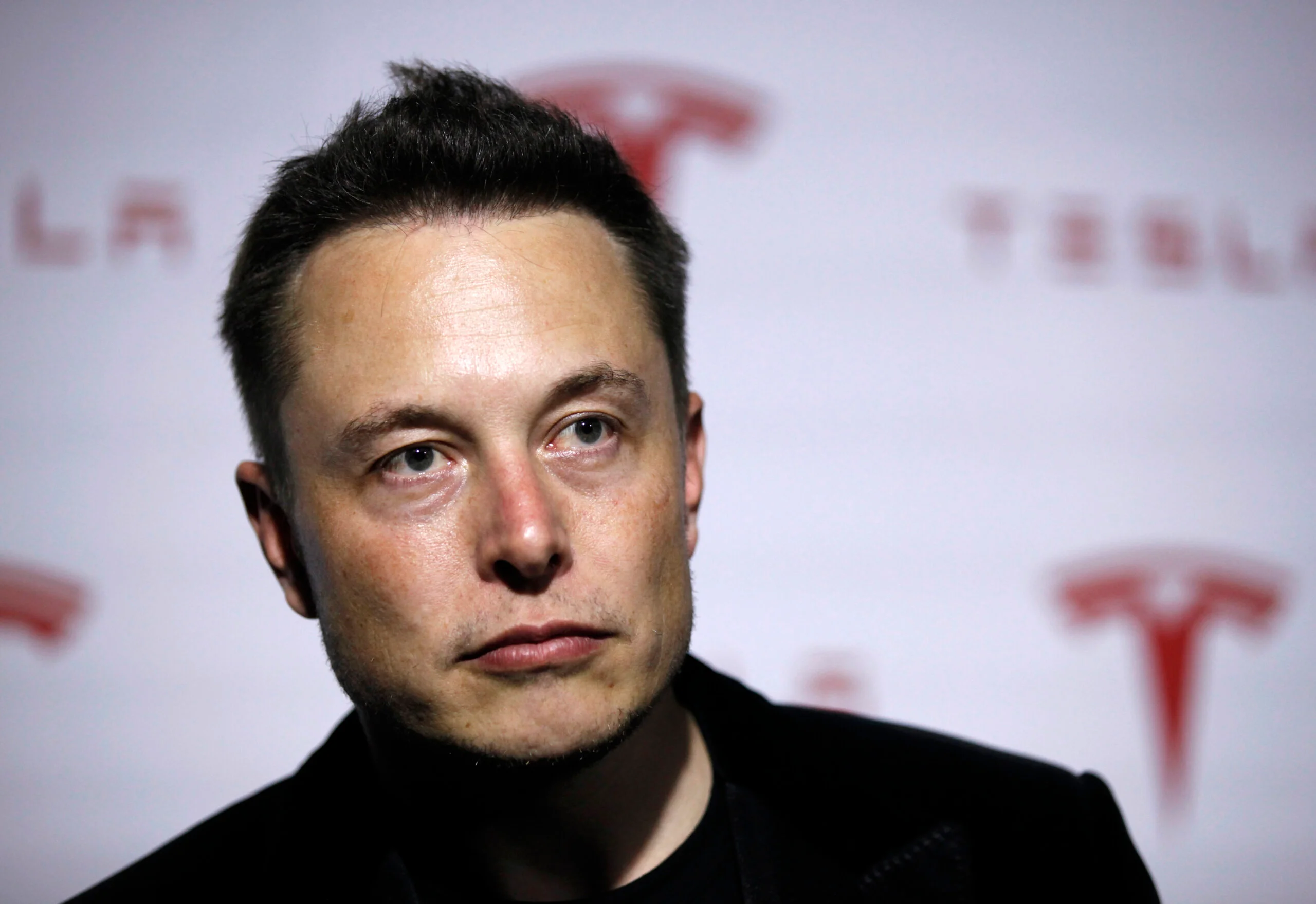 Elon Musk's Unexpected Sumo Match How a Moment of Glory Led to Years of Pain