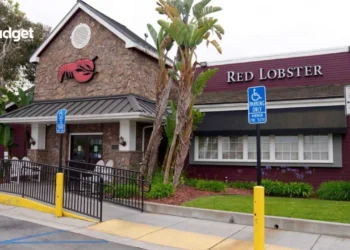 Endless Shrimp No More: How Red Lobster's Signature Deal Led to Financial Trouble