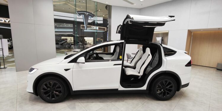 Exploring Tesla's Long-Term Viability Through Current Challenges, AI Ambitions, and Future Opportunities
