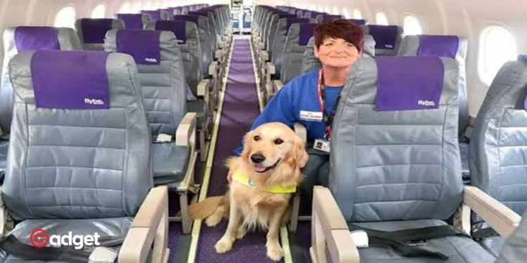 Flying High: Bark Air Launches Exclusive Airline Service for Dogs, Turning First Flights into Pet Adventures