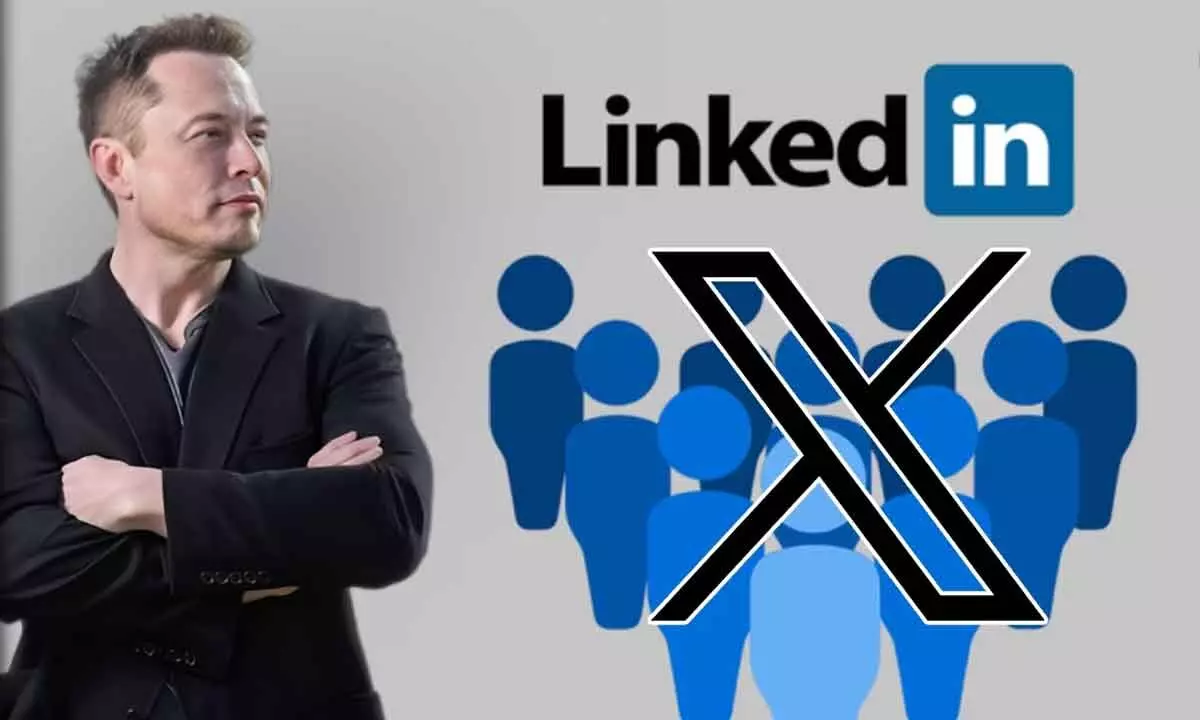 LinkedIn Surges as It Takes on Elon Musk's X with Big Wins in Web Traffic and Revenue
