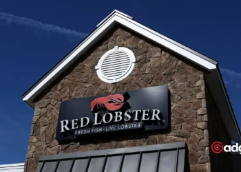 Red Lobster Faces Bankruptcy: Inside the Seafood Giant's Struggle and What It Means for Your Favorite Dishes