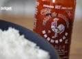 Spice Alert Huy Fong Foods Hits Pause on Sriracha Production, Sparks Shortage Concerns