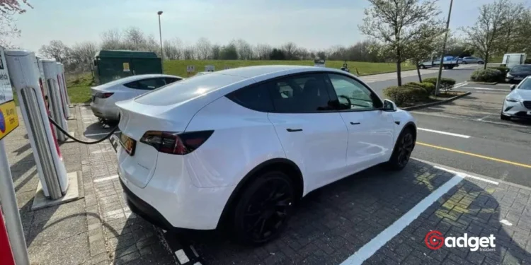 Study Reveals: EV Skeptics May Embrace Electric Vehicles in 3-5 Years
