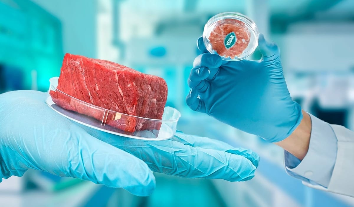 Tech Titan vs. Governor: Jeff Bezos Takes On Florida’s New Ban on Lab-Grown Meat