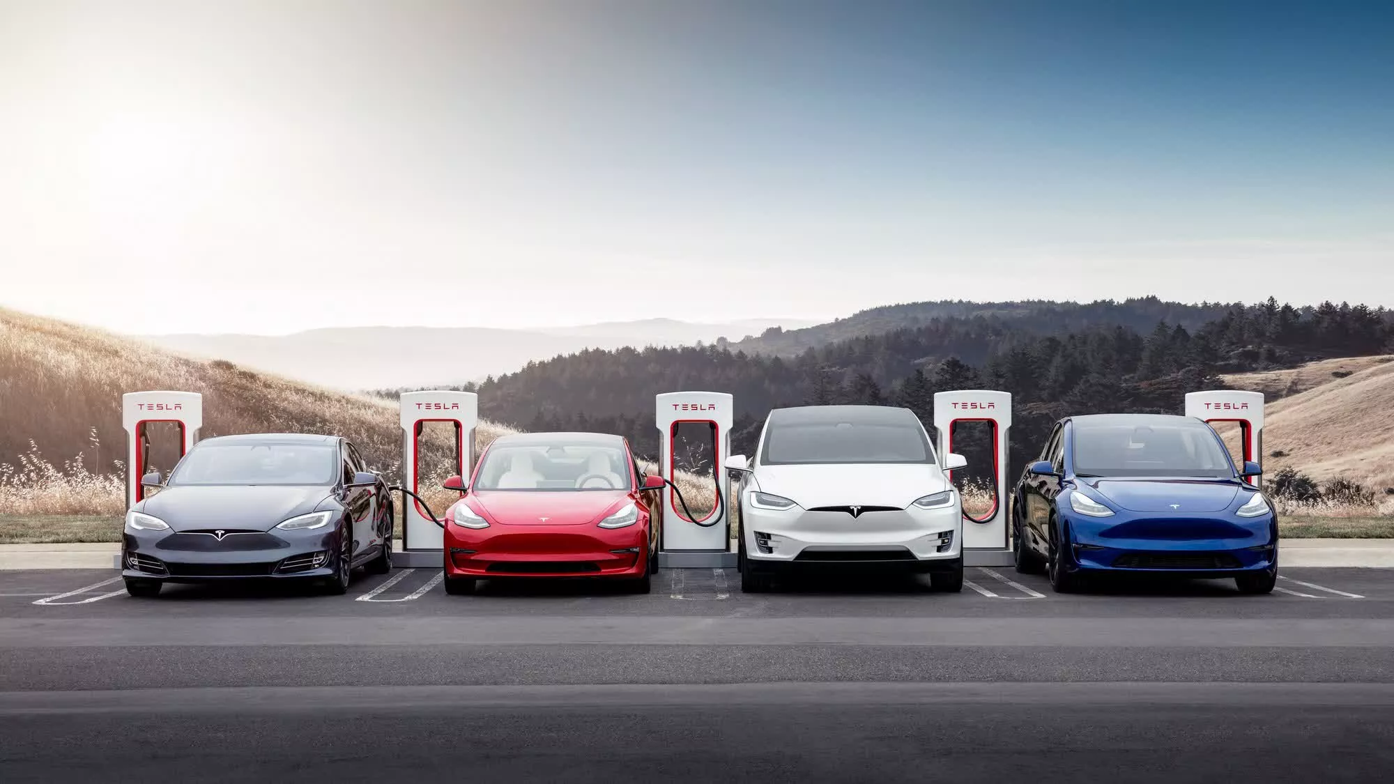 Tesla Shakes Up Team: Why Musk Cut Supercharger Staff After Scoring Millions in Gov Grants