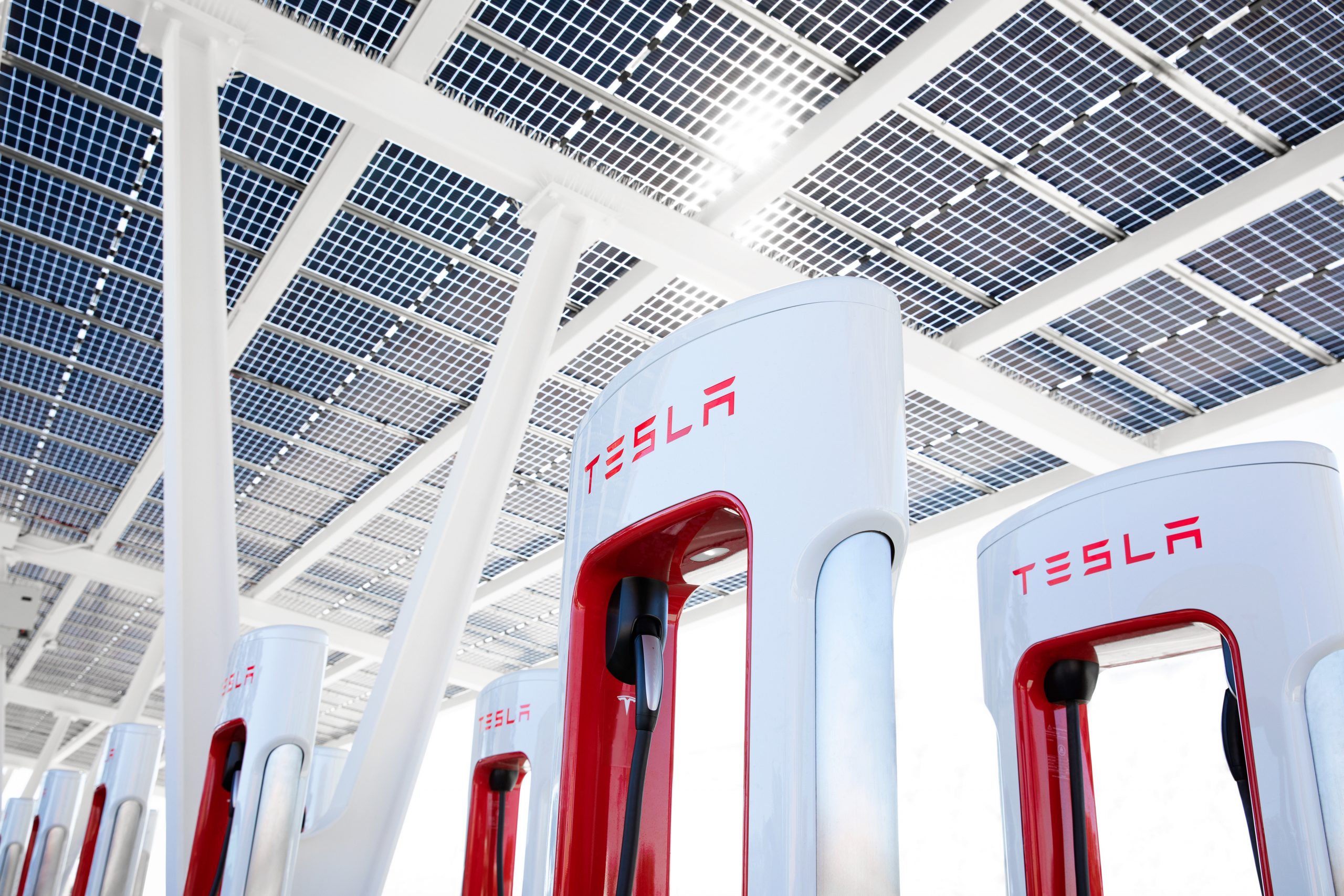 Tesla's Big Turnaround: How Elon Musk's Bold Moves Are Shaping the Future of Electric Cars