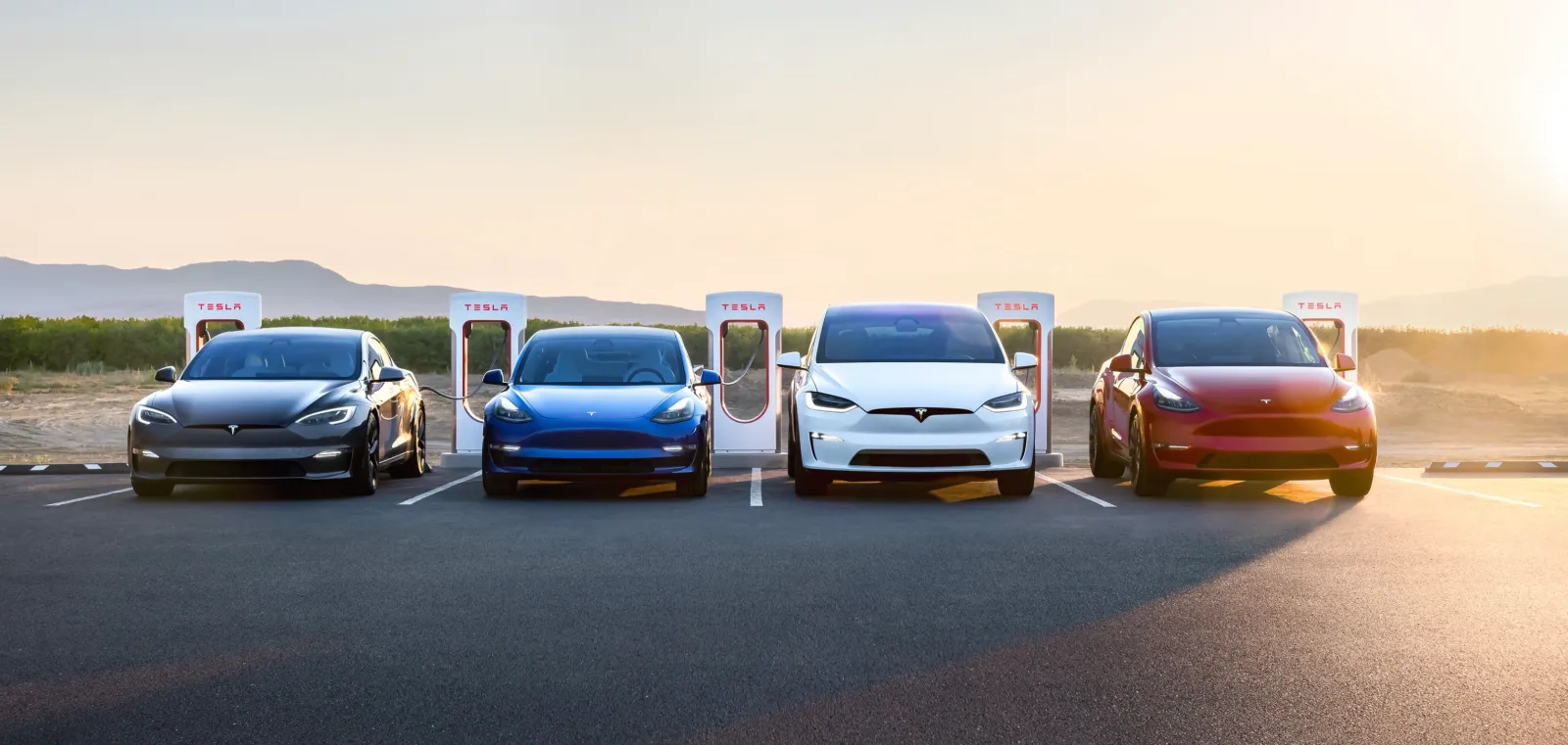 Tesla's Grip on California Wanes Why Locals are Choosing Other Cars Over Musk's Models-