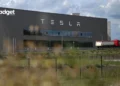 Tesla's Plan to Cut Down Forest for Factory Sparks Major Outrage in Germany