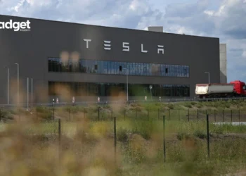 Tesla's Plan to Cut Down Forest for Factory Sparks Major Outrage in Germany