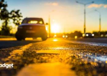 Unbearable Heat Alert Why Leaving Pets and Kids in Cars Can Be Deadly in Texas Right Now