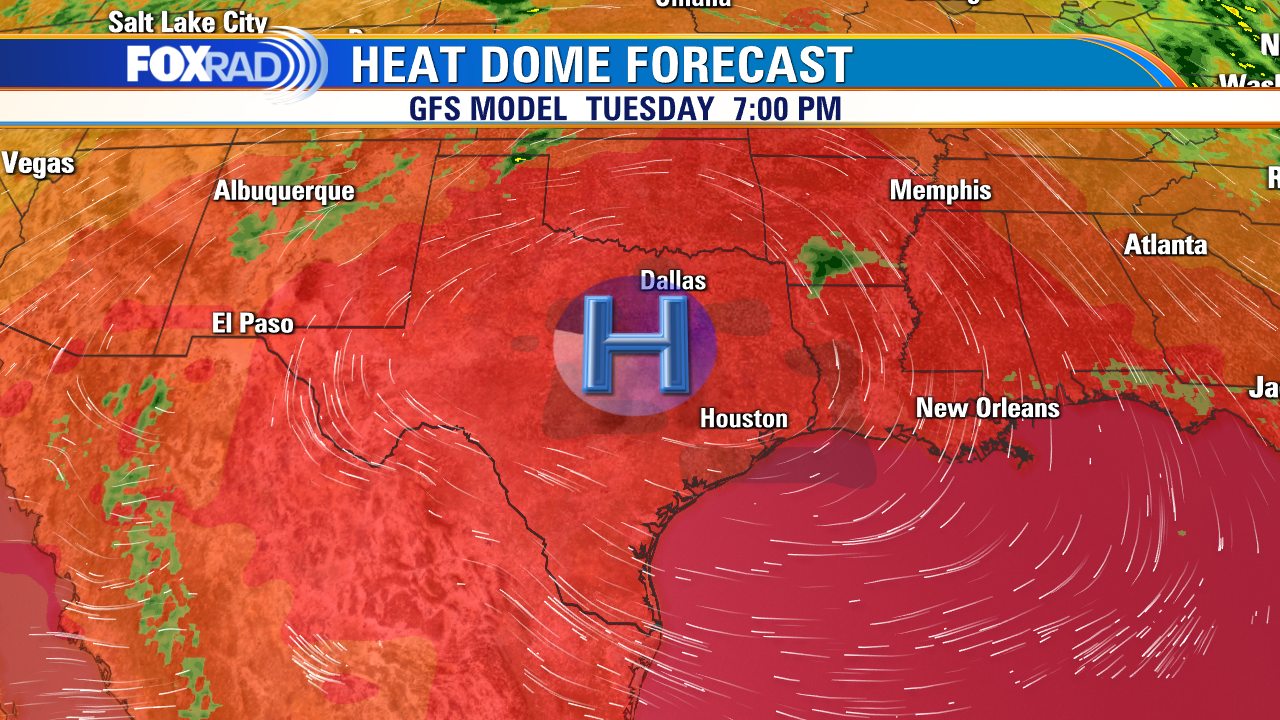 Unbearable Heat Alert Why Leaving Pets and Kids in Cars Can Be Deadly in Texas Right Now