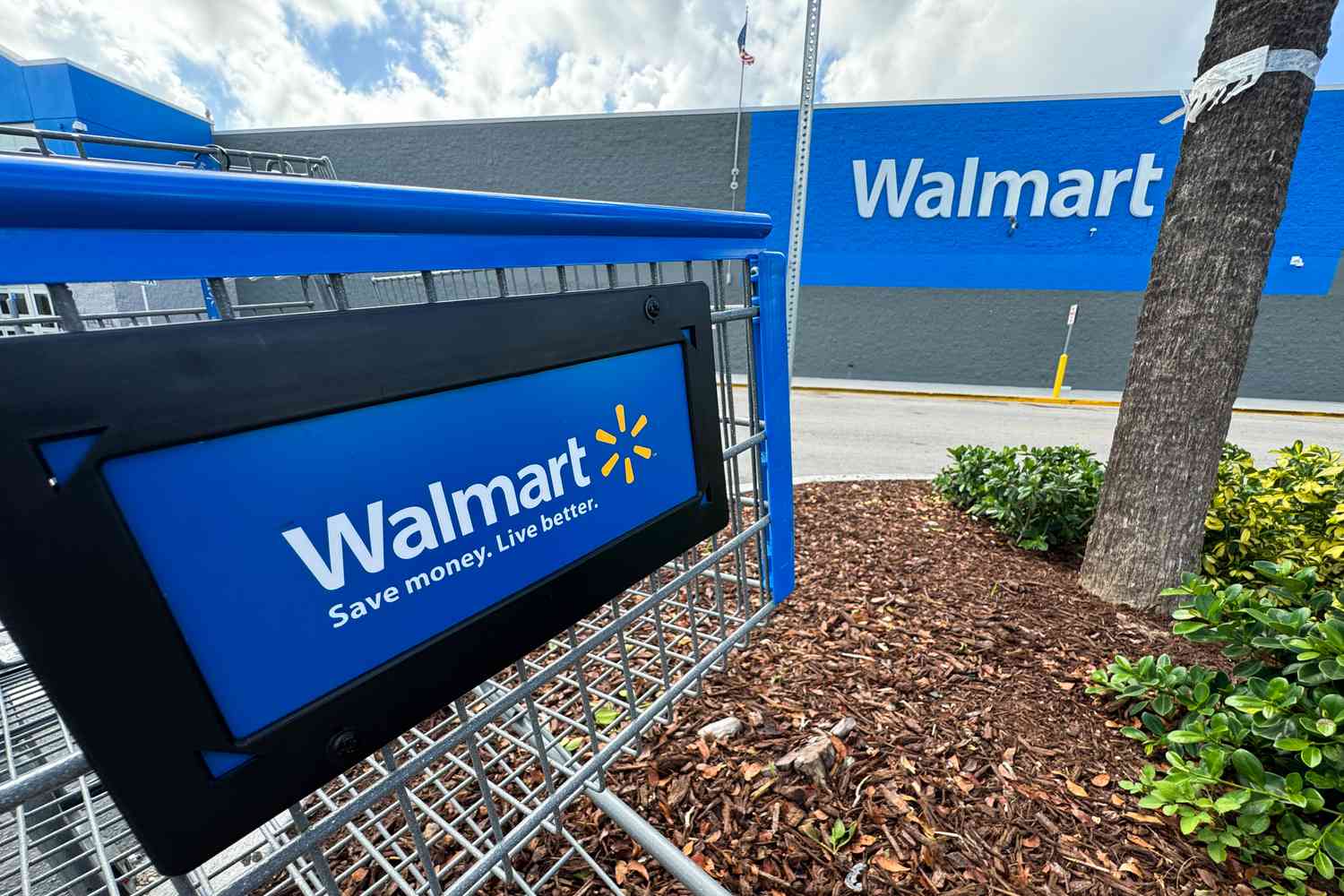 Walmart's Surprising Earnings: A Beacon for All Income Brackets