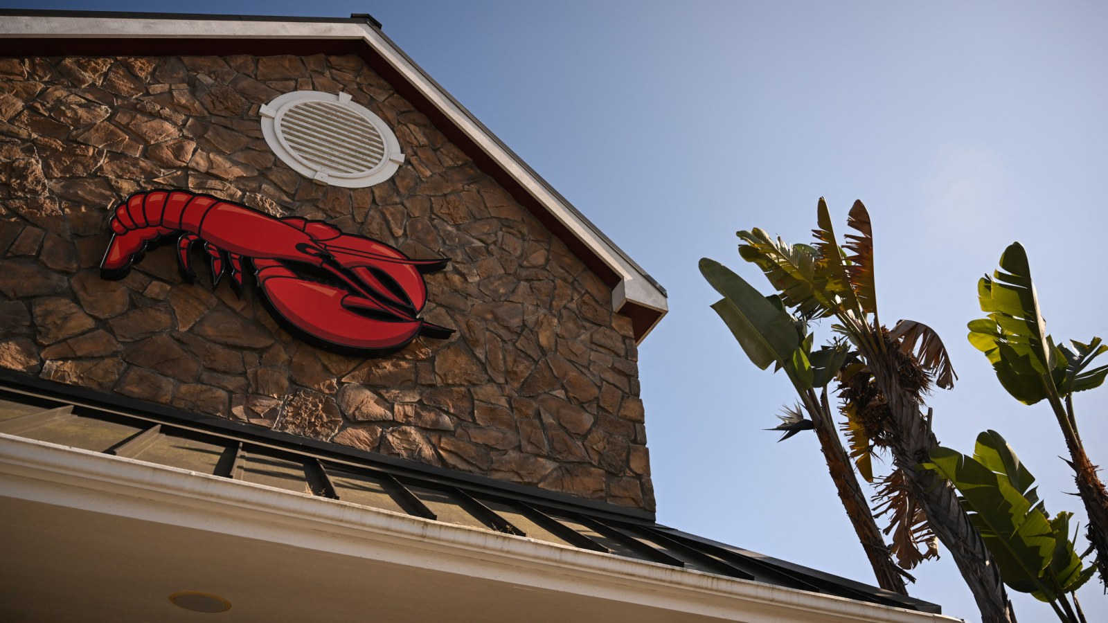 Why Are Famous Restaurant Chains Closing Down? The Story Behind Red Lobster and Others Facing Tough Times