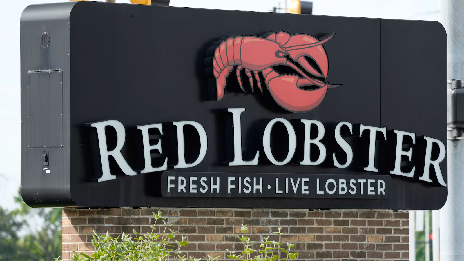 Why Red Lobster is Fighting to Stay Afloat: Inside Their Bankruptcy Battle and Bold Recovery Plan