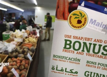 California SNAP Recipients Face Tight Deadline to Renew Benefits