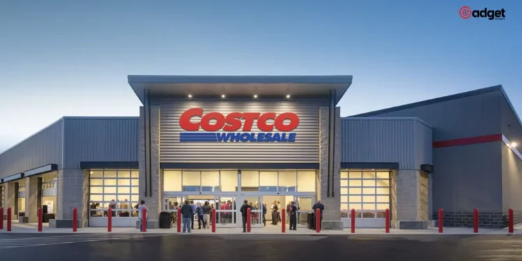Costco Re-Energises Book Market by Selling Only Books During Holidays