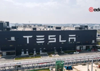 New York City Streets Test Tesla's Self-Driving Tech: Can Robots Keep Up?