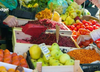 Organic Trust on the Line Unveiling Plastic Chemicals in Popular Food