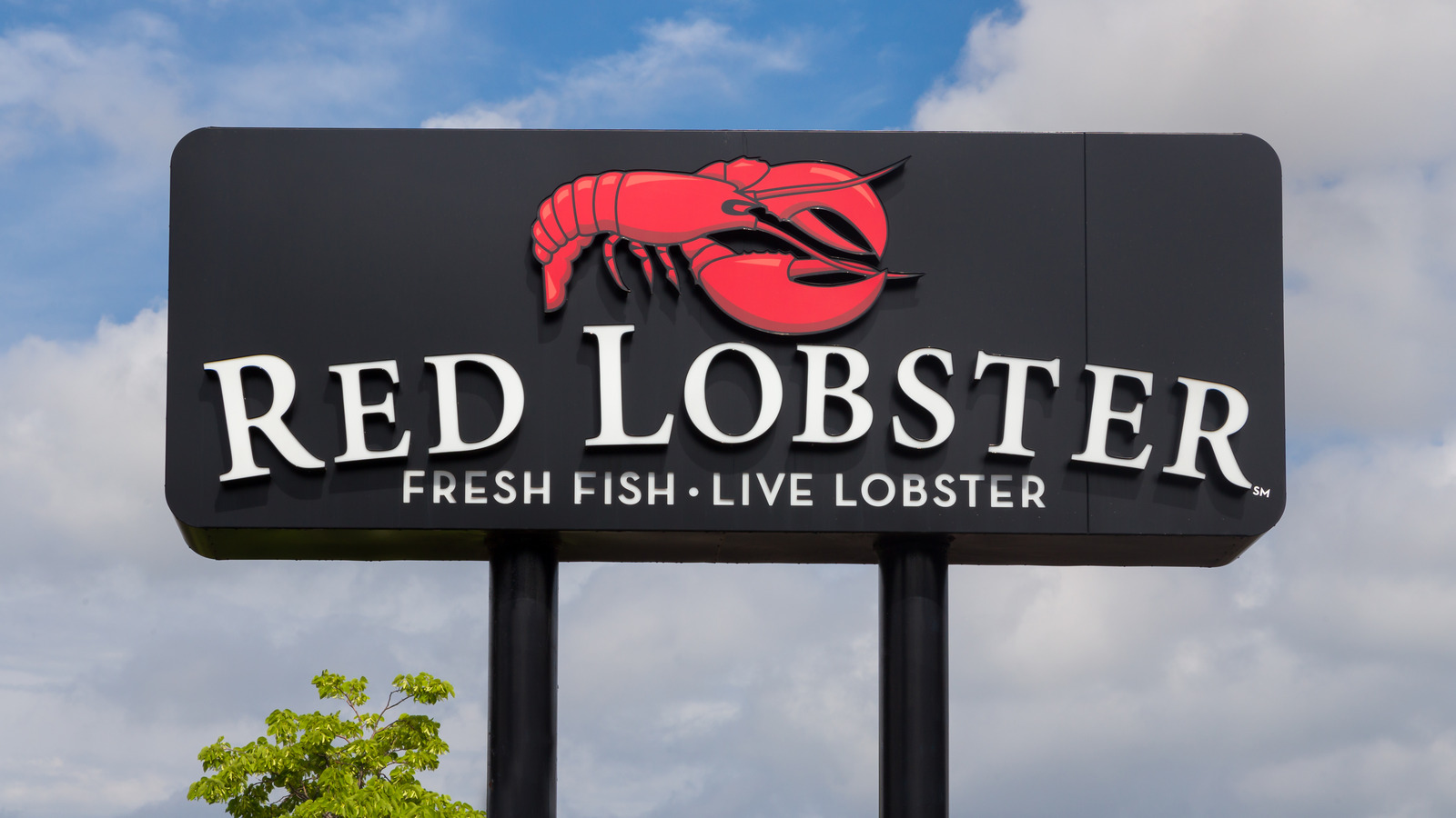 Red Lobster's Struggle: Over 100 Stores Might Close as Seafood Chain Faces Bankruptcy Again