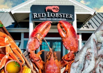 Red Lobster's Struggle: Over 100 Stores Might Close as Seafood Chain Faces Bankruptcy Again