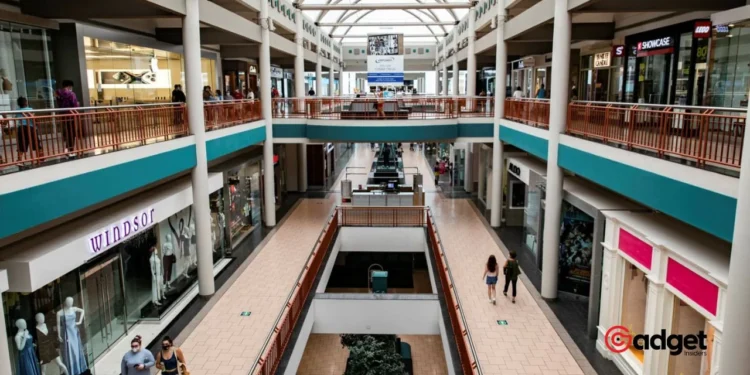 Why Did Our Favorite Retail Stores Close? Inside the Bankruptcy Battles of Christmas Tree Shops, Tuesday Morning, and Joann