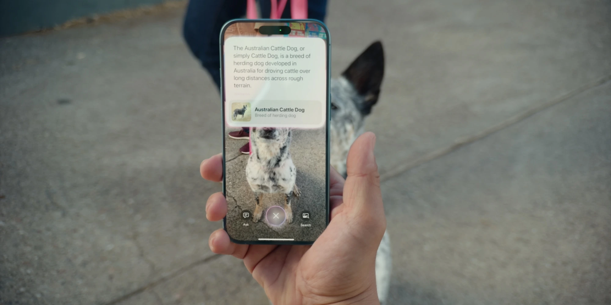 Big Update for iPhone Fans How the New Visual Intelligence Feature Will Change Your iPhone 15 Pro Experience---