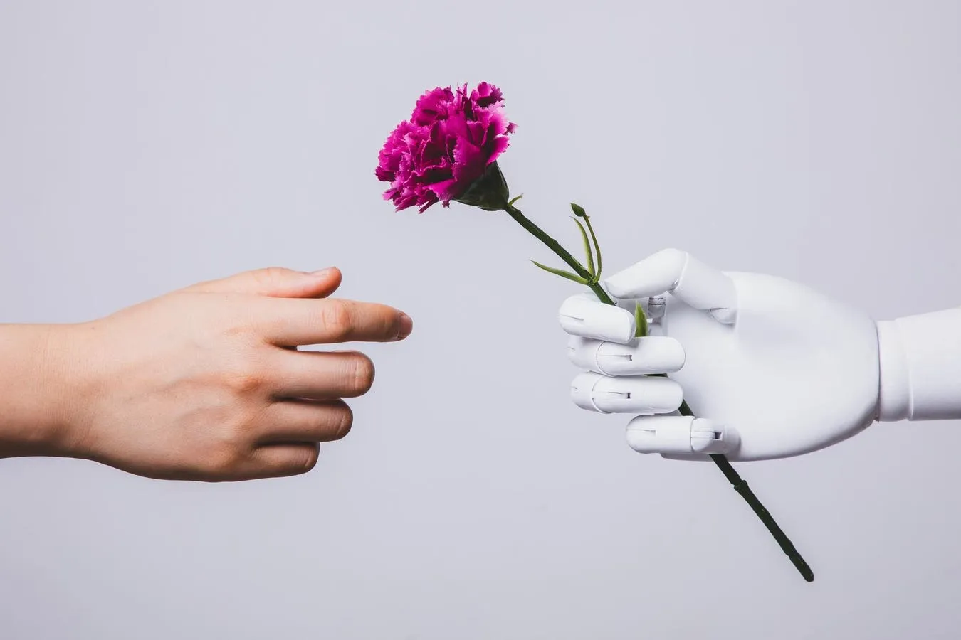 How AI Chatbots Are Changing Relationships: From Virtual Wives to Mental Health Support
