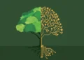 60+ Digital Tools for a Sustainable Lifestyle-