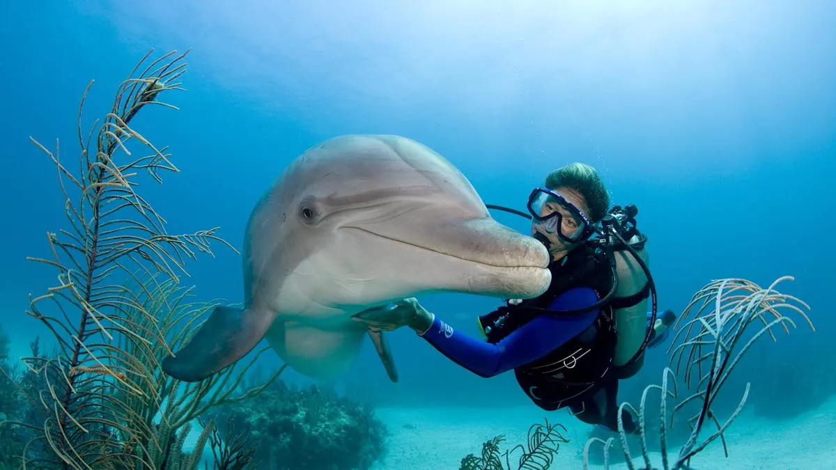Google’s New AI Model Could Help Decode Dolphin CommunicationA Breakthrough for Scientistss
